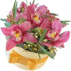 Капелюшна коробка з рожевими Орхідея "Ліліана"